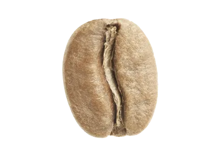 حامضة